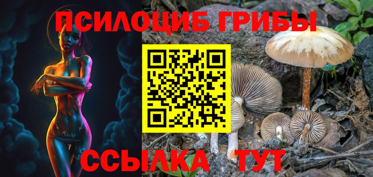 Галлюциногенные грибы ЛСД Петровск